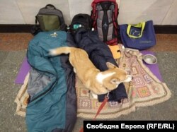 Това в момента е домът на част от колегите на Оля. Те също са на добри позиции в международната компания, в която работят. Сега се крият в метрото.