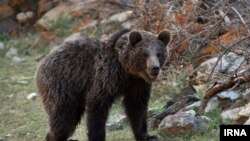 илустрација