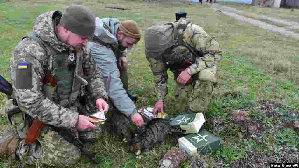 Hősként ünnepelték&nbsp;a Kígyó-sziget védőit