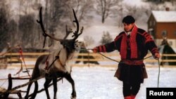 Саами мъж от Норвегия води елен, 1994 г.