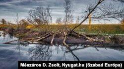 Ahol állnak a gátak, ott már tiszta a part, máshol még csak a fakivágásnál tartanak