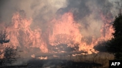 Шумски пожар кој се шири во Дикела во близина на Александрополис, северна Грција, 23 август 2023 година. 