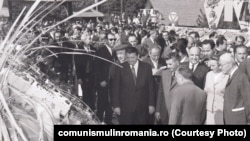 3 octombrie 1971. Vizita conducerii de partid în frunte cu Nicolae Ceauşescu și Emil Bodnăraș la CAP Sineşti de Ziua Recoltei. Sursa: comunismulinromania.ro (MNIR)