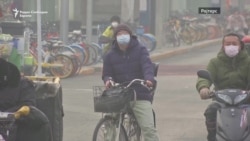 Во борба со времето за лек против коронавирусот