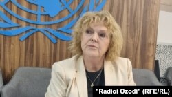 გაეროს სპეციალური მომხსენებელი უფლებადამცველთა მდგომარეობის საკითხებზე