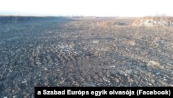 Nádas kiirtva, víz feltöltve a Fertő tónál