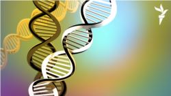 Psihologia umorului: Ce spun glumele pe care le facem despre noi 