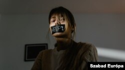 Do sada je ovaj oblik nasilja tretiran kroz šest članova Krivičnog zakonika, a postupci su se vodili po privatnoj tužbi. Prema predloženim izmjenama, on će se goniti po službenoj dužnosti.