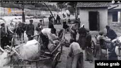 Țărani din RSS Moldovenească obligați să predea toată recolta autorităților sovietice la începutul foametei din 1946-1947. Stop cadru din Pur și Simplu: „Au măturat până și pleava” (2016)