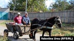 Comuna Grozești, septembrie 2020