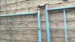 ტრაგედიის ადგილი