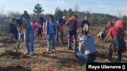 Засаждането на гората на 13 ноември 2021 г. в Церово.