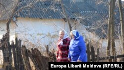  Pelinia, Drochia, noiembrie 2021