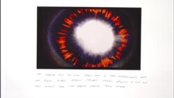 ადამიანის ორგანოები და კოსმოსი