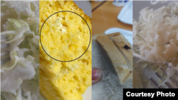 Комарци, муви и влакна како „прилог“: Што јадат студентите во „Гоце Делчев“ кога никој не снима