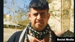 شادمان احمدی