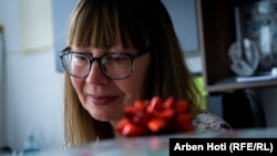 Ukrajinska novinarka Ljudmila Makej (Lyudmila Makey) sa setom se priseća kako je nekada slavila Božić u svom rodnom gradu