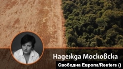 Надежда Московска. Колаж.
