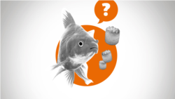 Kvíz: Így spórolnak ők – avagy hogy próbálják túlélni az elszálló rezsiárakat a politikusaink?