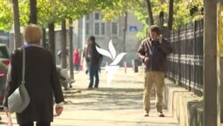 Една година од локалните избори - Што е сменето? 