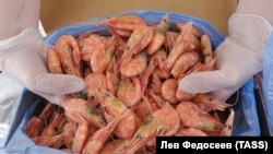 Cijena gambora počinje od 18 eura.