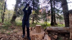 Russian IT Specialist Hides From Mobilization In A Forest 