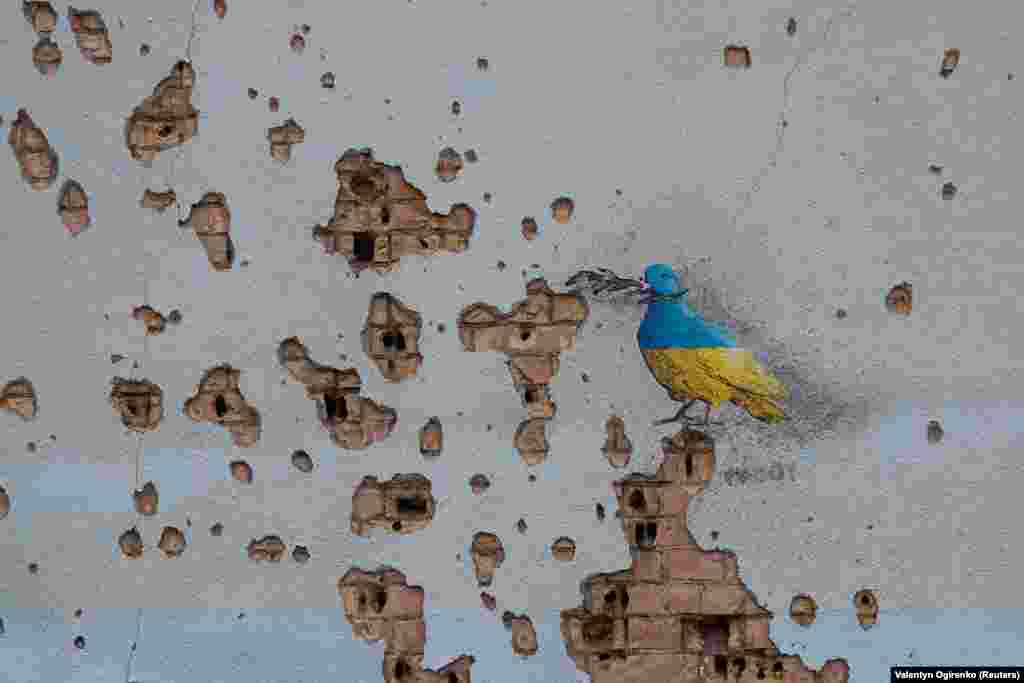 Golub mira koji je naslikao Tvboy krasi zid u Irpinu. &quot;Kao počast žrtvama ovog rata, želio sam da ostavim znak svog prolaska ulicama Kijeva, Buče i Irpina, gradova oštećenih ruskim napadima&quot;, kaže on.