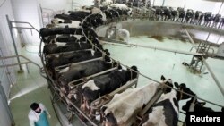 Jedna od farmi u Srbiji