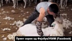 Принт скрин од содржината на хакираната Фејсбук страница на УКИМ