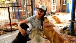 Vullnetarizmi për qentë e luftës "më ktheu në jetë"