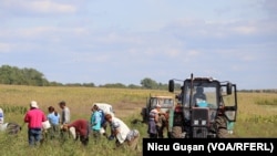 Banii provin din fondul de intervenție al Guvernului.