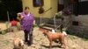 Serbia -- A refugee from Ukraine Maja Ernst, with her dogs at weekend cottage in Tresnja near Belgrade, Jun 17, 2022