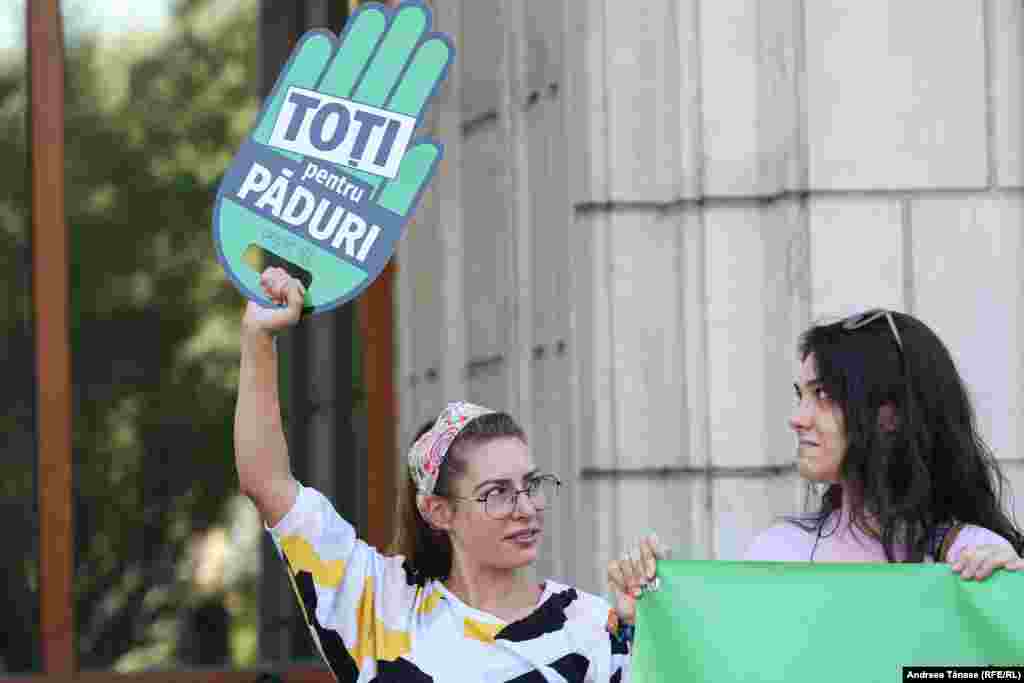 Acţiunile de împădurire în afara fondului forestier sunt la cel mai redus nivel din istoria postbelică. Potrivit INS, în anul 2018, suprafața împădurită a României a crescut cu 72 de hectare de păduri noi, iar conform raportului stării pădurilor realizat de ministerul de resort, în anul 2017 s-au creat 243 de hectare cu păduri noi.