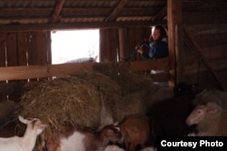 Bacsurinszkaja az állatait eteti