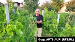 ზაურ ზუბაშვილი