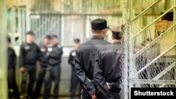 Колония, иллюстративное фото