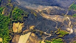 Sezoni i zjarreve me pak zjarrfikës 