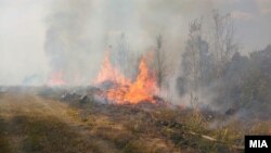 Илустративна фотографија