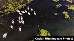 Delta Dunării este unul dintre cele mai frumoase locuri din țară și ar putea atrage mult mai mulți turiști străini decât o face în prezent. 