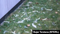 Qirinj dhe poçe elektrike afër objektit të Qeverisë