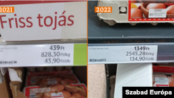 A számok magukért beszélnek? 2021-es és 2022-es tojásár