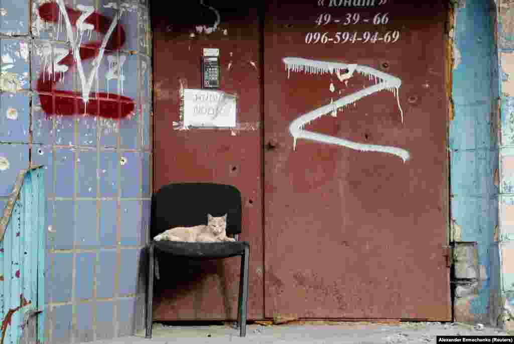 Macska fekszik a széken egy lakóház bejáratánál Mariupolban május 2-án. Az ajtón felirat: &quot;Itt emberek élnek&quot;
