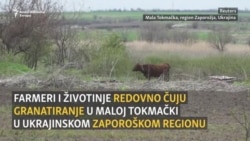 Sjetva na nišanu: Ukrajinski farmeri na okupiranim teritorijama