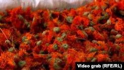 Bimët e mbledhura në Kosovë eksportohen në vendet e Bashkimit Evropian.