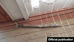 Фото ГКНБ КР.