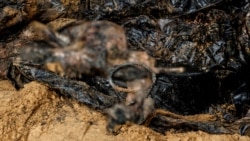 Vezane ruke na tijelima u masovnoj grobnici u Izjumu