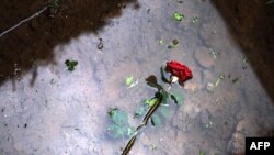 Ilustrativna fotografija