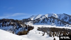 Вид на восточную часть плато Кок-Жайляу с Сухого хребта. По первоначальному проекту, рукотворный еловый лес на переднем плане справа должен был пойти под топор ради строительства здесь альпийской деревни. 9 февраля 2017 года.