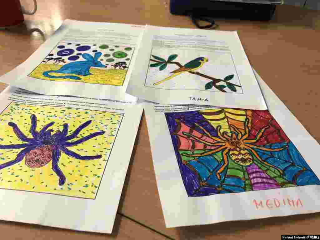 &bdquo;Volim ove crteže, volim što sam radio aboridžanske crteže, tu nam je bila gošća iz Australije, i mi smo te aboridžanske crteže zajedno pripremili&ldquo;.