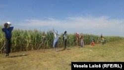 Vojvodina, ilustrativna fotografija